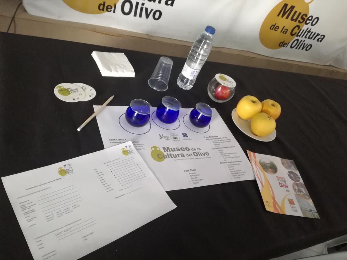 Baeza: Turismo del aceite en Hacienda La Laguna