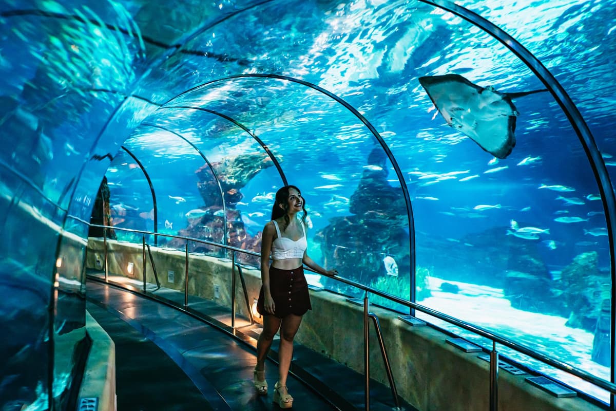 Acuario de Barcelona: ticket de acceso