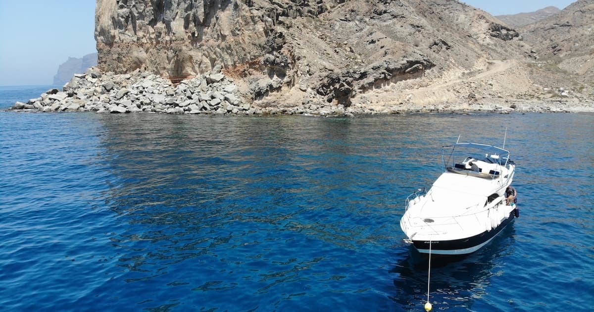 Mogán: crucero de avistamiento de delfines con parada para nadar