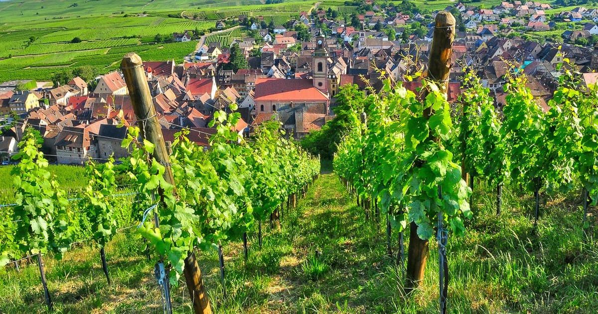 From Paris: Small-Group Champagne Day Trip with Six Tastings