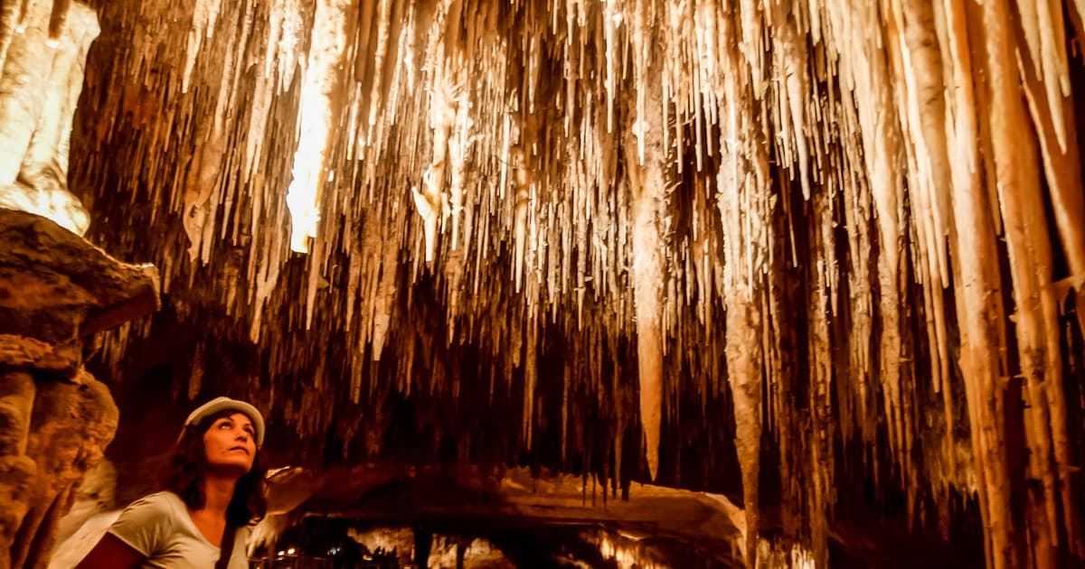Alcúdia: tour a las cuevas del Drach desde el norte con paseo en barco