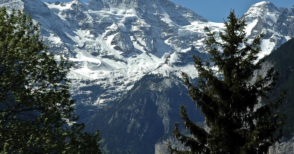 From Zurich: Jungfraujoch Guided Day Tour with Cogway Train