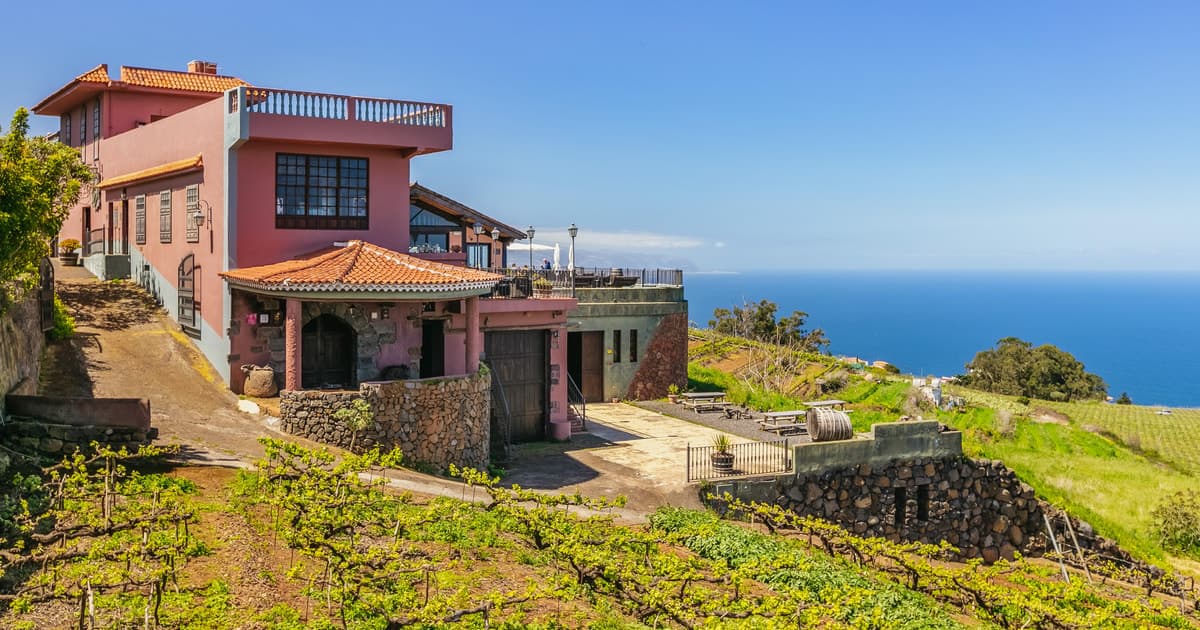 Tacoronte: Visita Guiada a Bodegas con Degustación de Vinos y Quesos