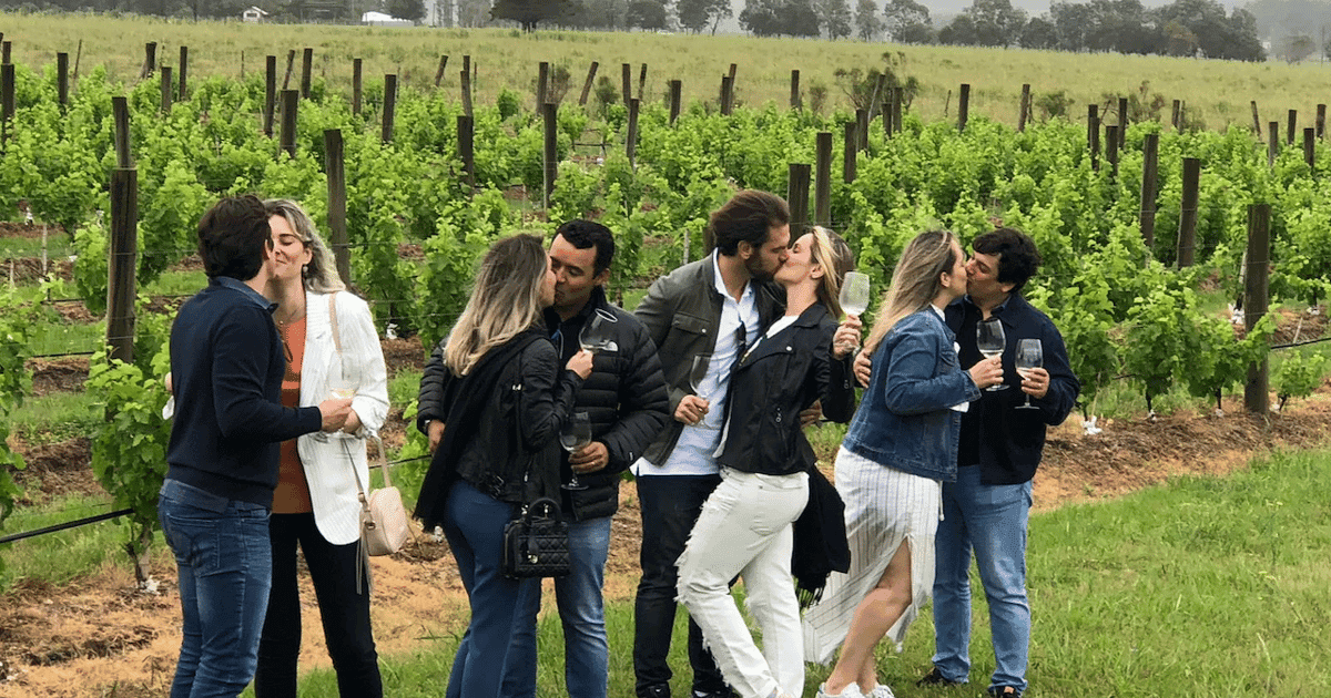 San Francisco: Tour de medio día por el Valle de Napa con catas de vino