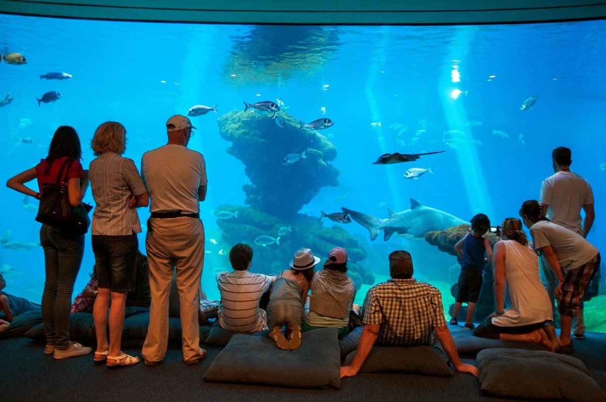 Mallorca: Palma Aquarium con traslados, guía y entrada rápida