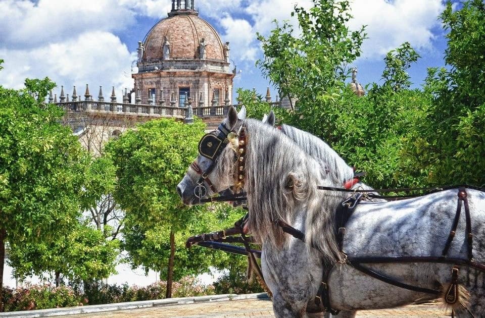 Jerez: tour guiado del centro histórico