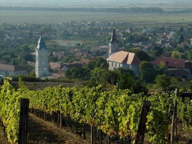 Cata de vinos en Tokaj, tour privado de un día desde Budapest