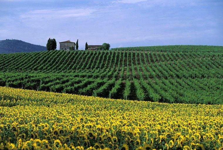 Tuscany Post Card Tour - meal & tasting at Winery (6hrs)