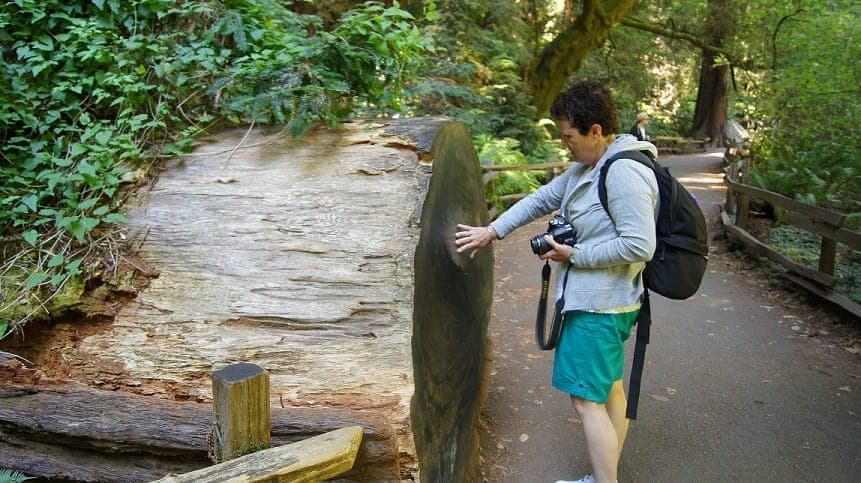SF: Visita guiada a Muir Woods y tour con paradas libres (Ahorra un 15%)