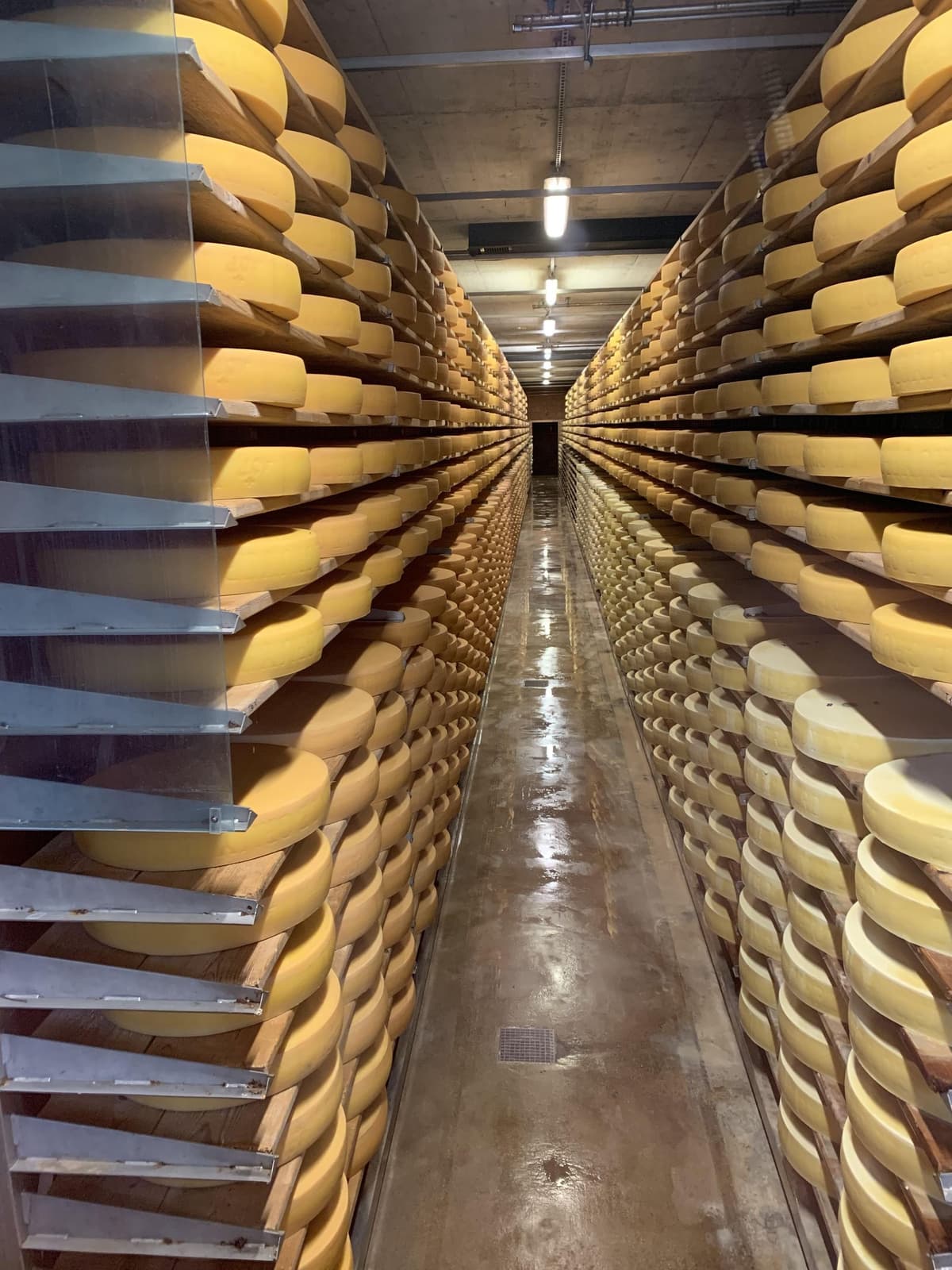 Tour por el castillo de Gruyères, queso y chocolate | Desde Zúrich