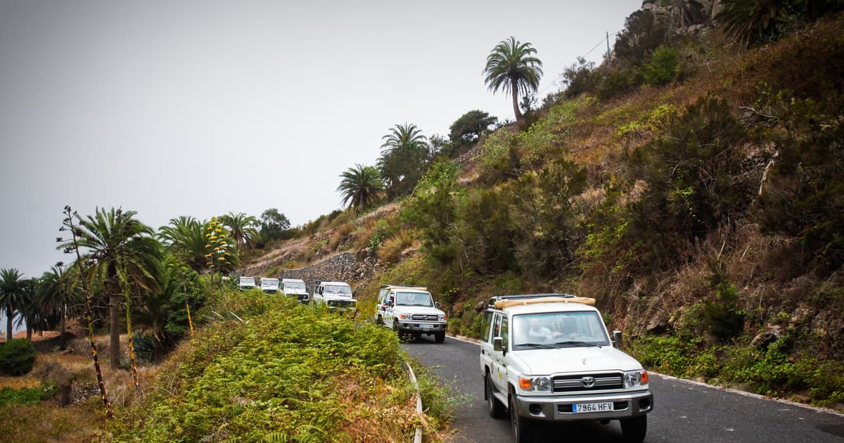 Excursión de un día en jeep por la Gomera desde Arona