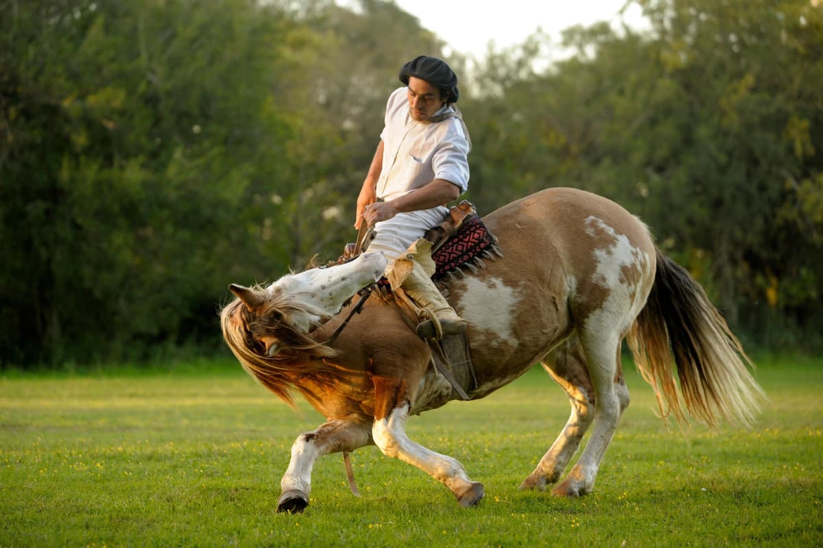 Desde Buenos Aires: Excursión de un día a San Antonio de Areco