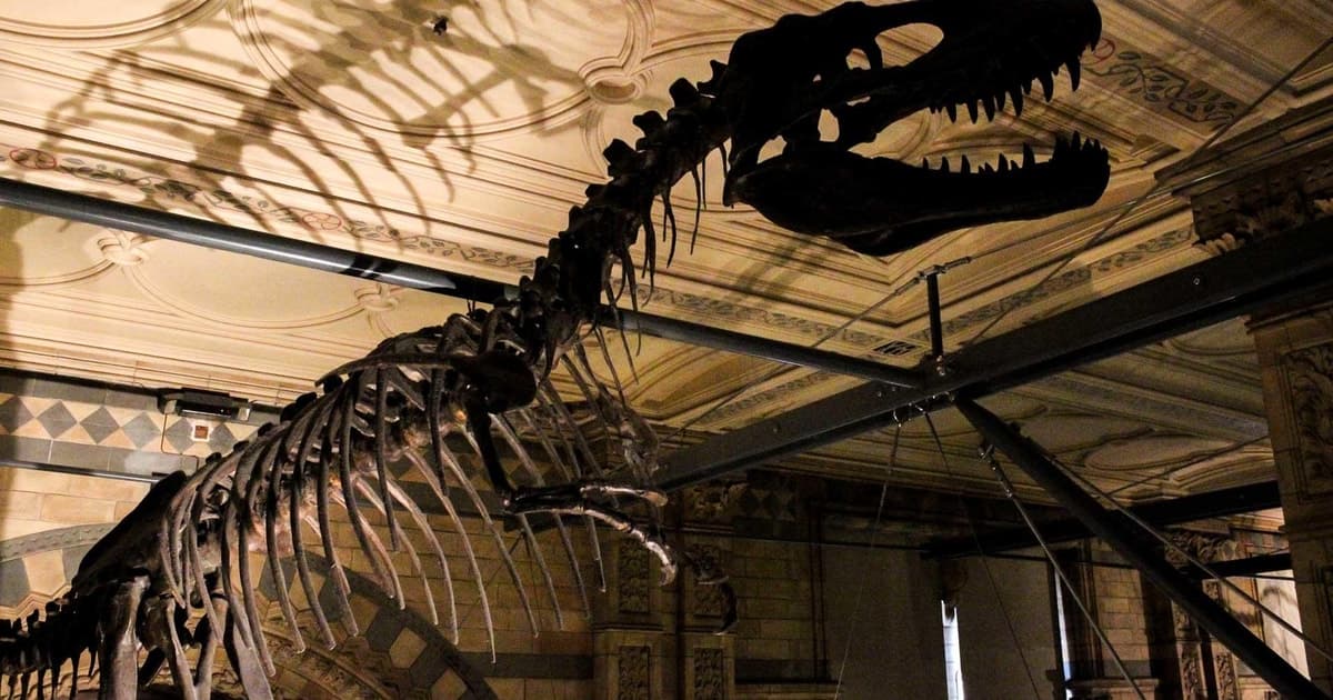 London: Natural History Museum Guided Tour