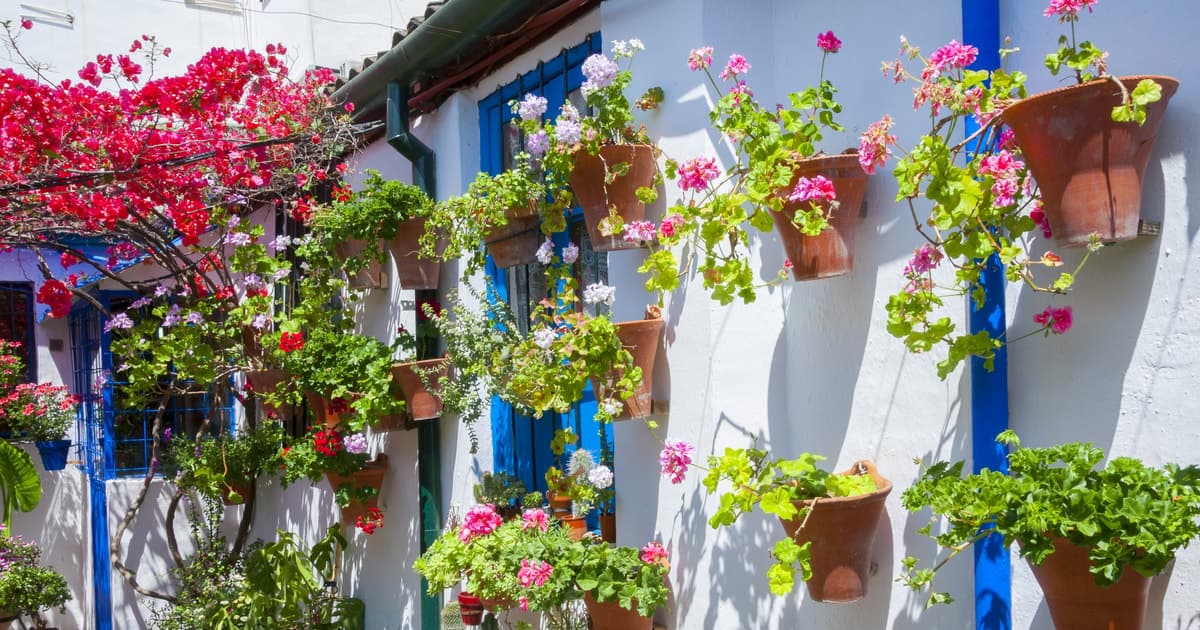 Los Patios Auténticos de Córdoba: Visita de 2 horas con entradas