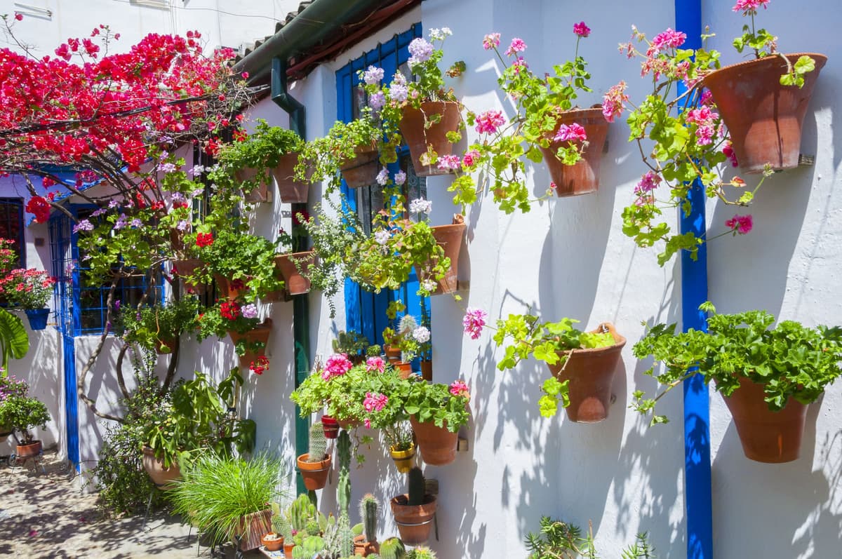 Los Patios Auténticos de Córdoba: Visita de 2 horas con entradas