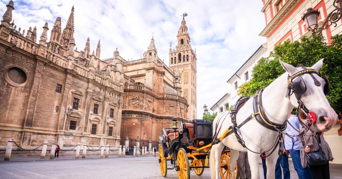 Sevilla: visita guiada a la catedral, la Giralda y el Alcázar