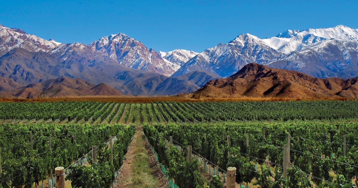 Excursión de 4 días a Mendoza y los Andes
