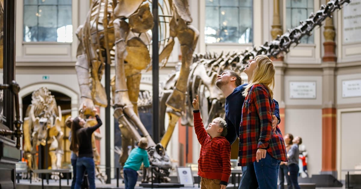 Berlín: Ticket de entrada al Museo de Historia Natural