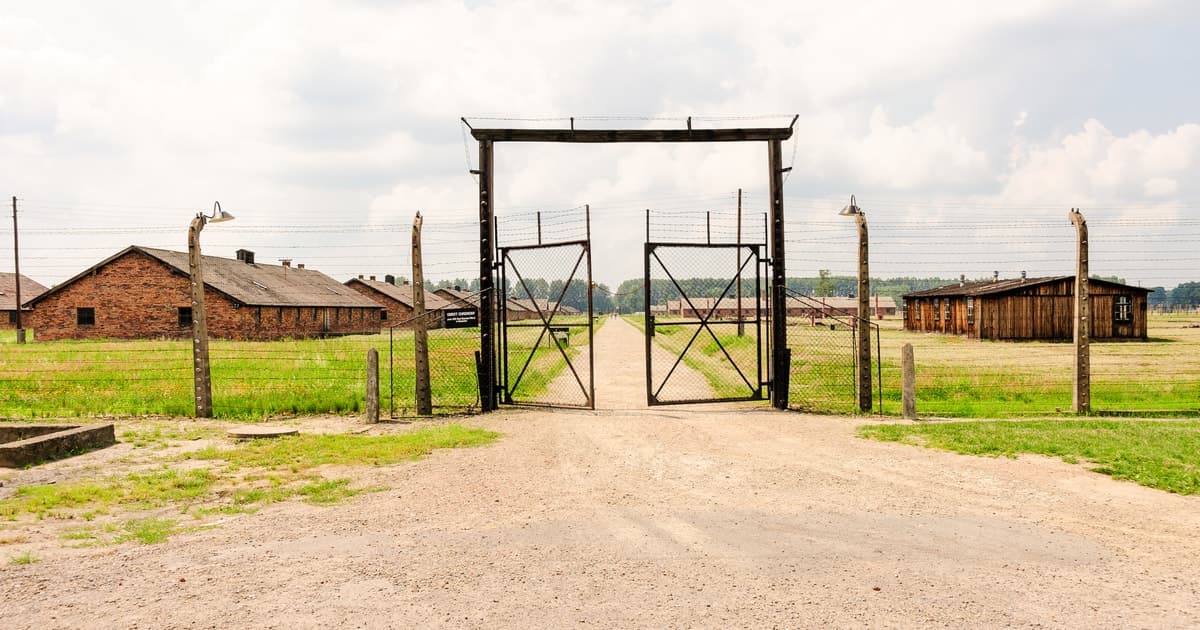 Desde Cracovia: Excursión Auschwitz-Birkenau con transporte