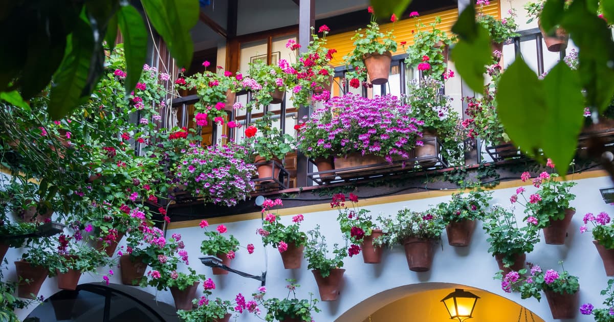 Córdoba: Tour guiado en español a los patios de Córdoba