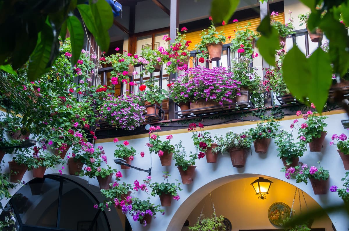 Córdoba: Tour guiado en español a los patios de Córdoba