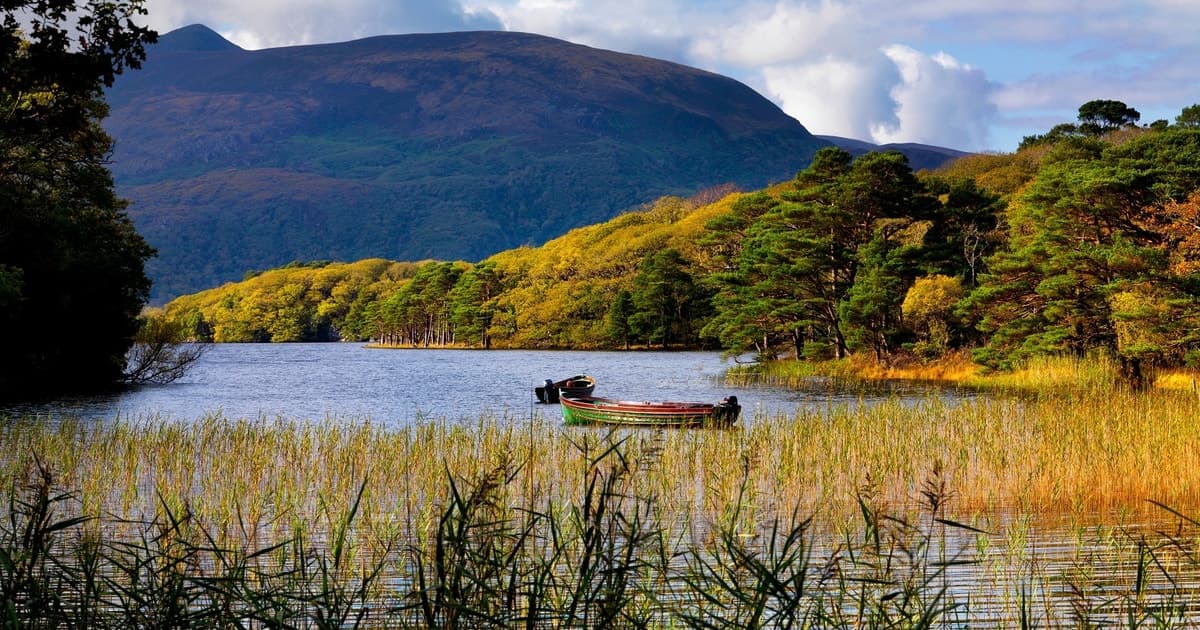 Kerry: Full-Day Tour from Dublin
