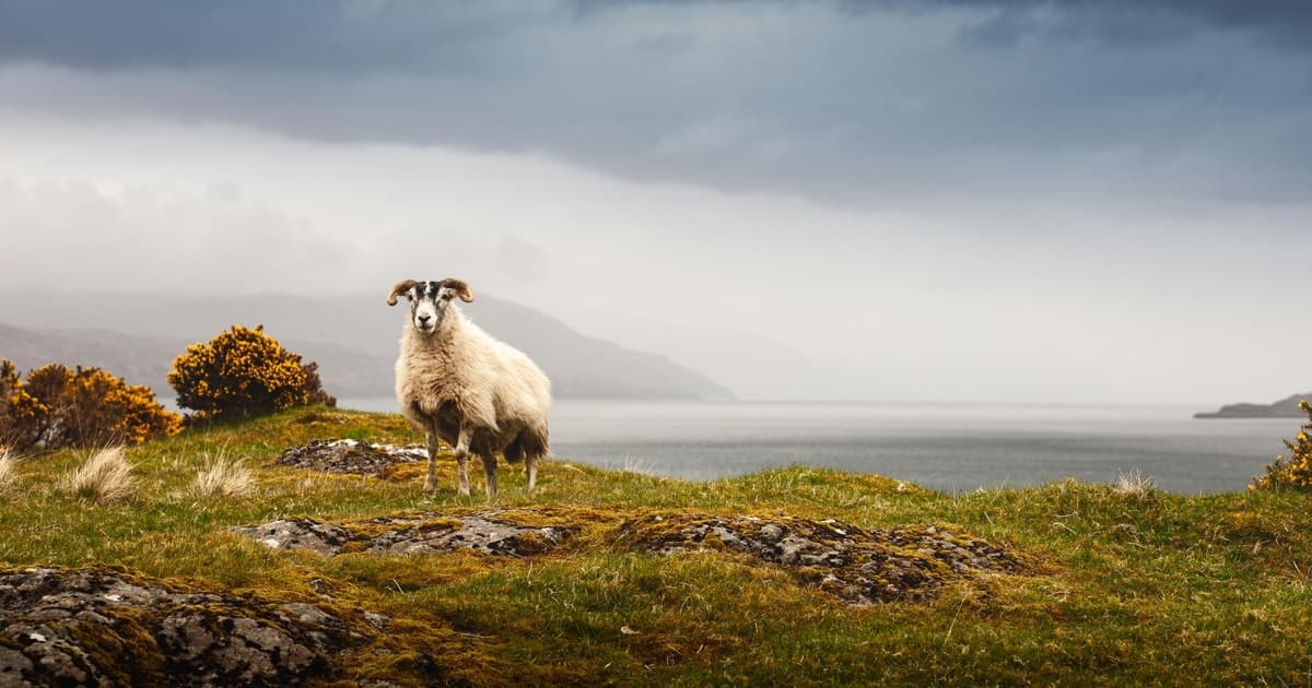 Iona, Mull, and Isle of Skye: 5-Day Tour from Edinburgh