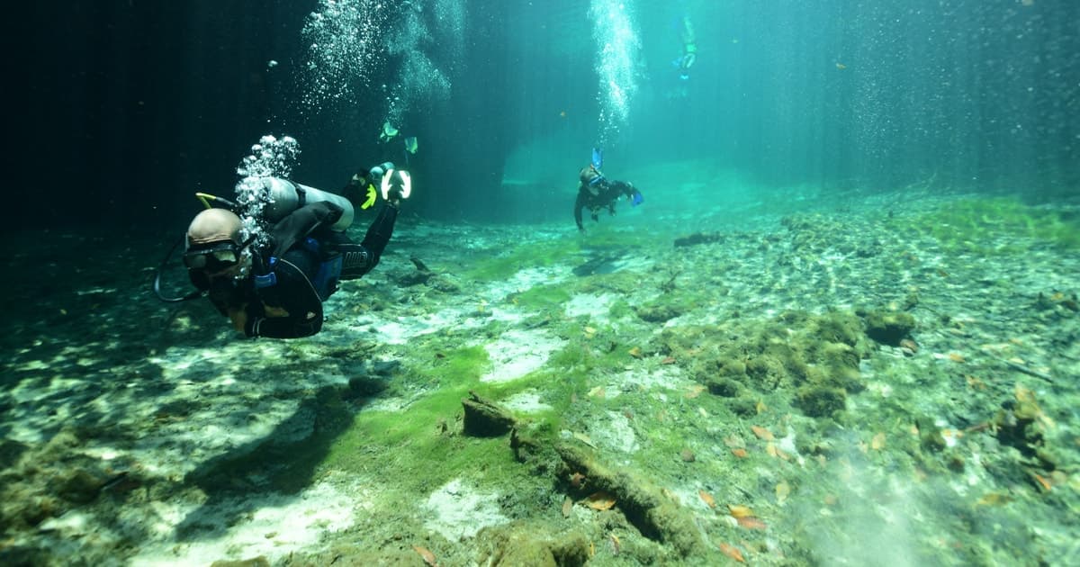 Tulum: Descubre el buceo en cenotes