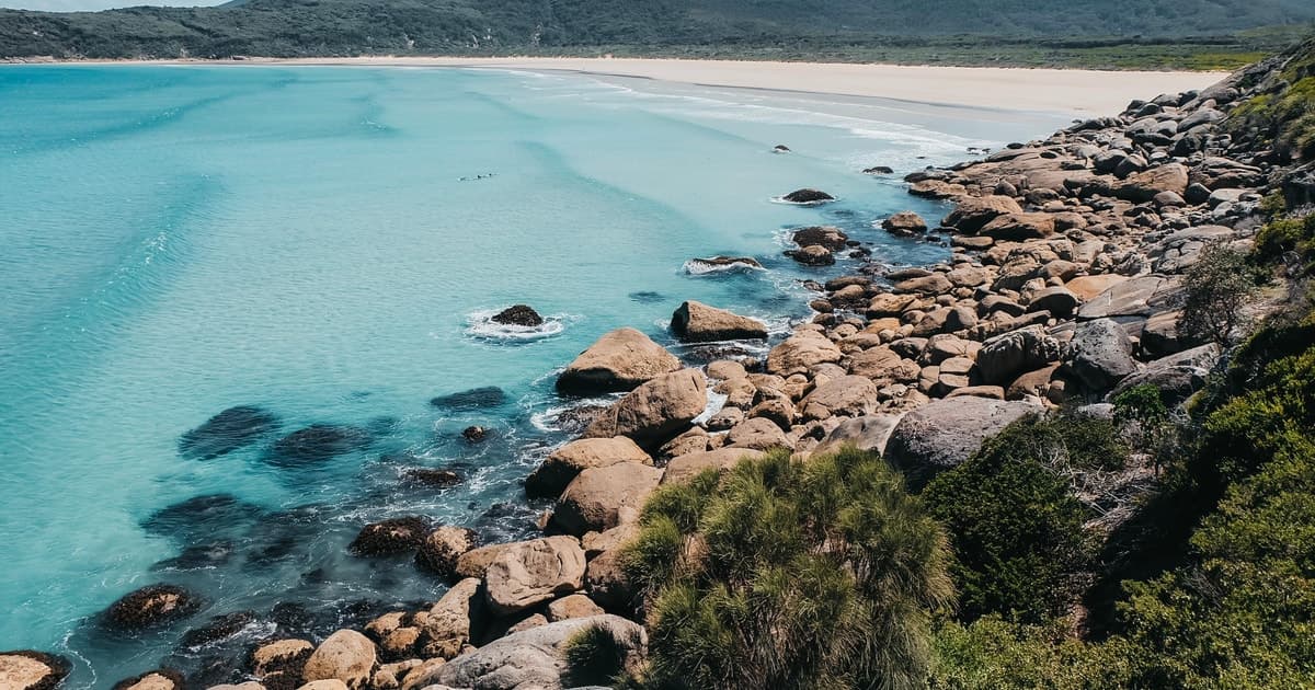 From Melbourne: Wilsons Promontory Small Group Day Tour