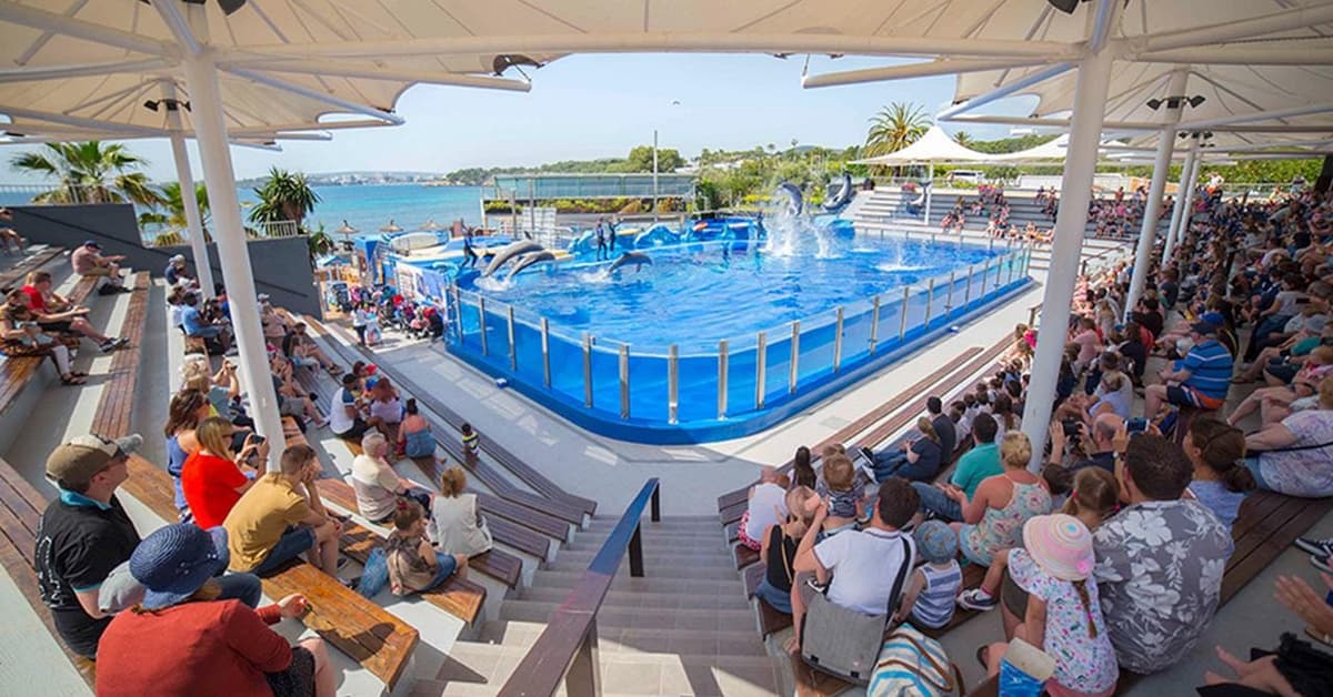 Costa d'en Blanes: Ticket de entrada a Marineland Mallorca