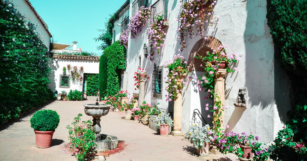 Córdoba: Visita a los Patios y Palacio de Viana
