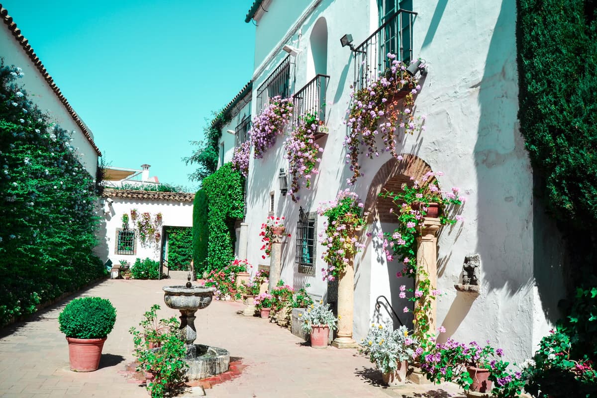 Córdoba: Visita a los Patios y Palacio de Viana