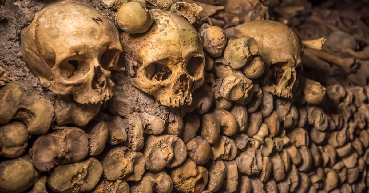 Paris Catacombs Skip-the-Line Guided Tour and Special Access