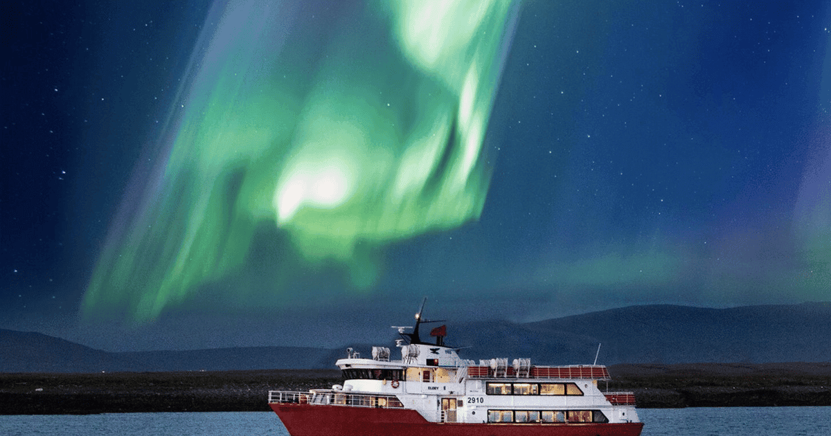 Reykjavík: Northern Lights & City Cruise