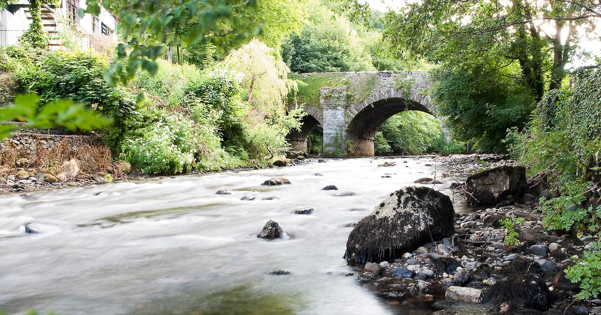 Dublin Rail Shore Excursion : Wicklow, Avoca and Glendalough
