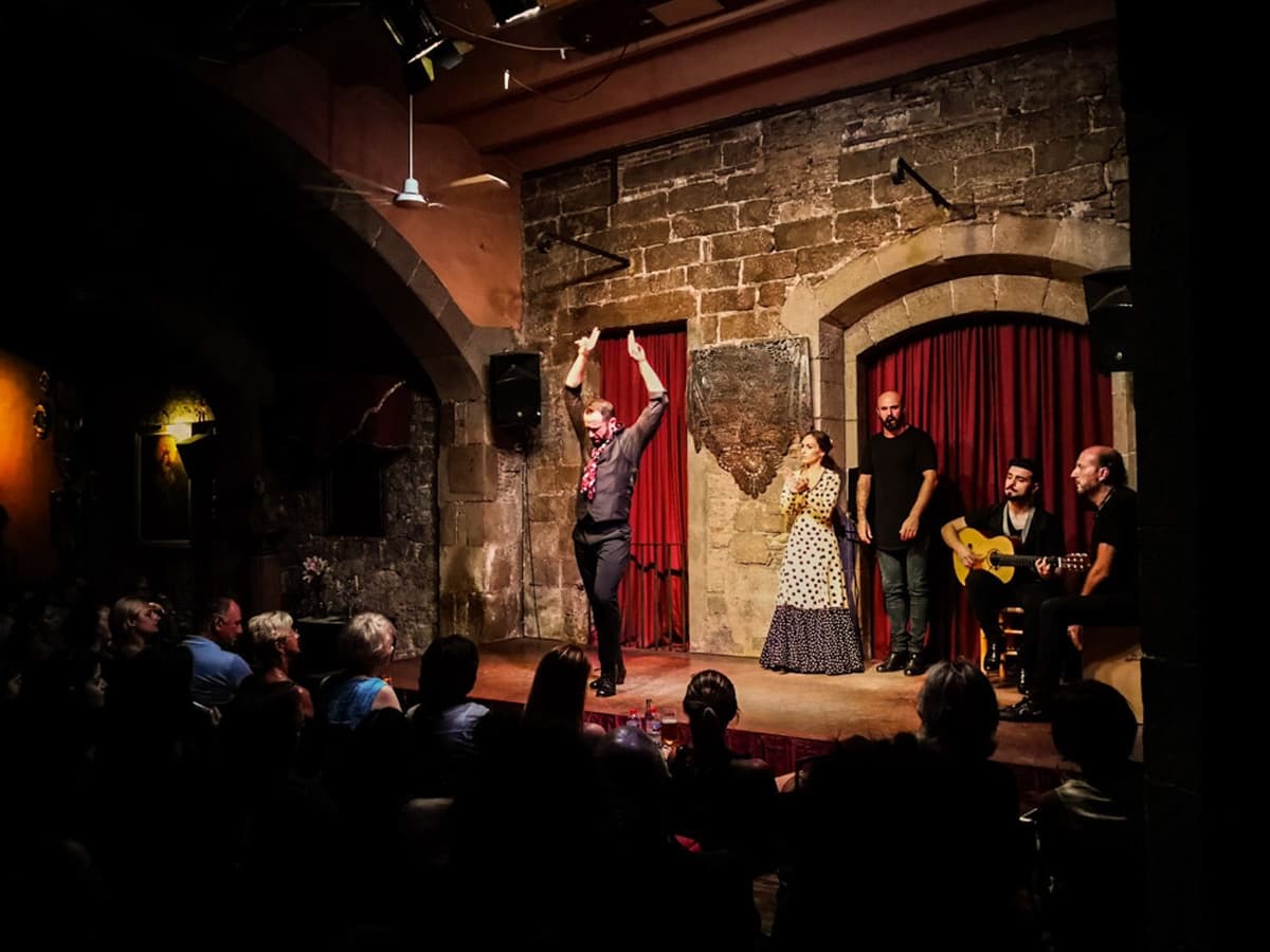 Barcelona Private Tour: Tapas & Wine Tasting & Flamenco Show
