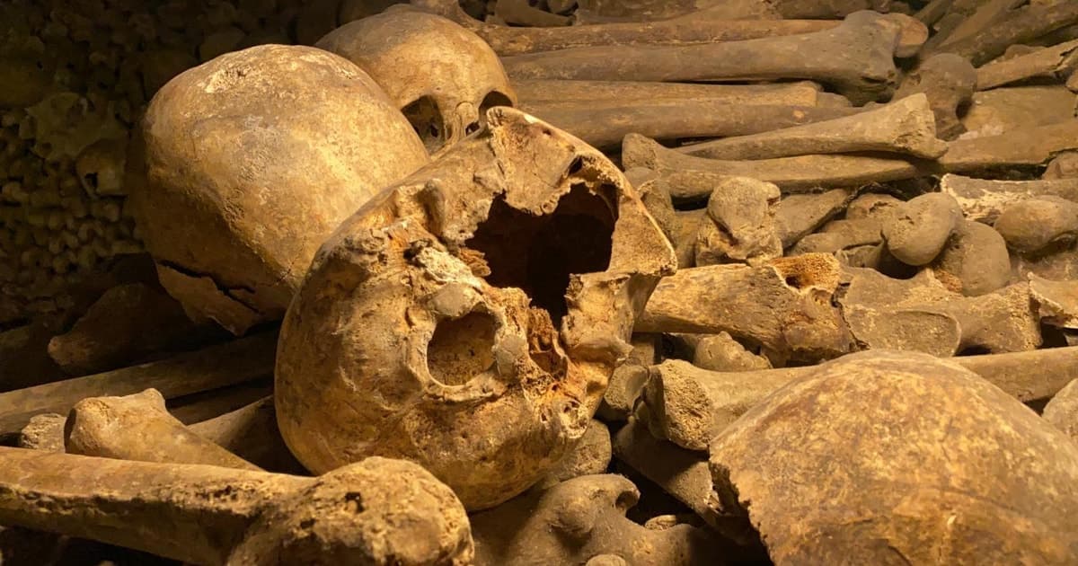Paris: Small-Group Catacombs Tour with Skip-the-Line Entry