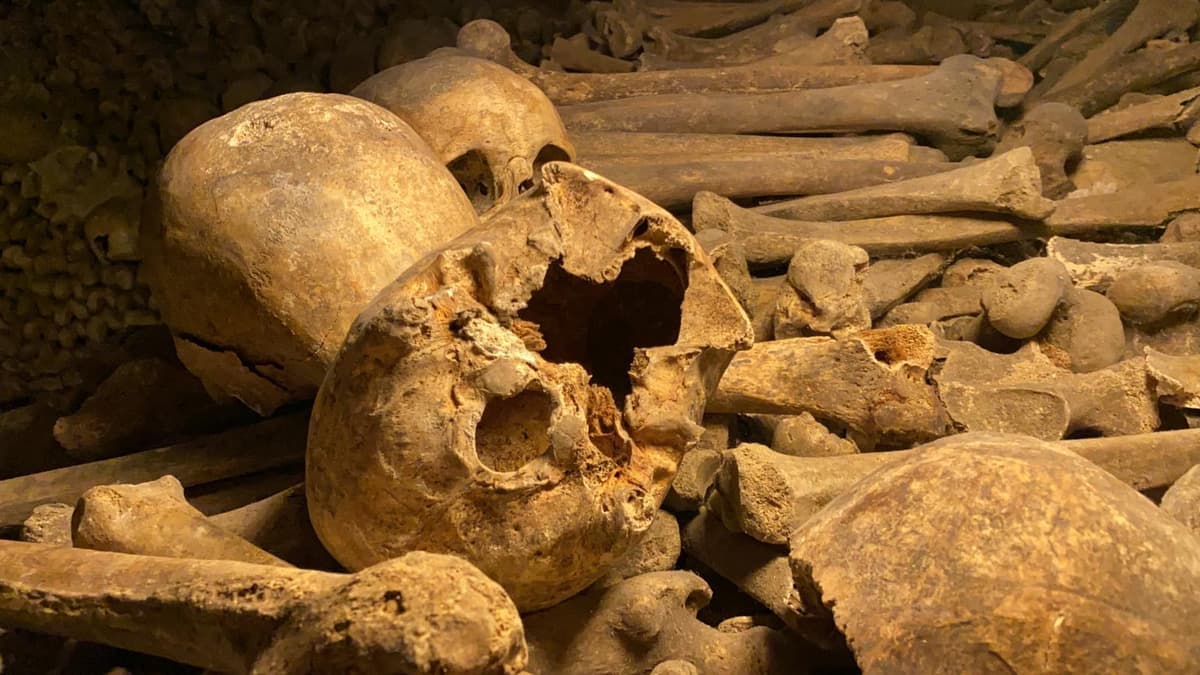 Paris: Small-Group Catacombs Tour with Skip-the-Line Entry