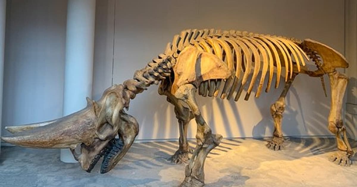 London: Family-Friendly Natural History Museum Tour