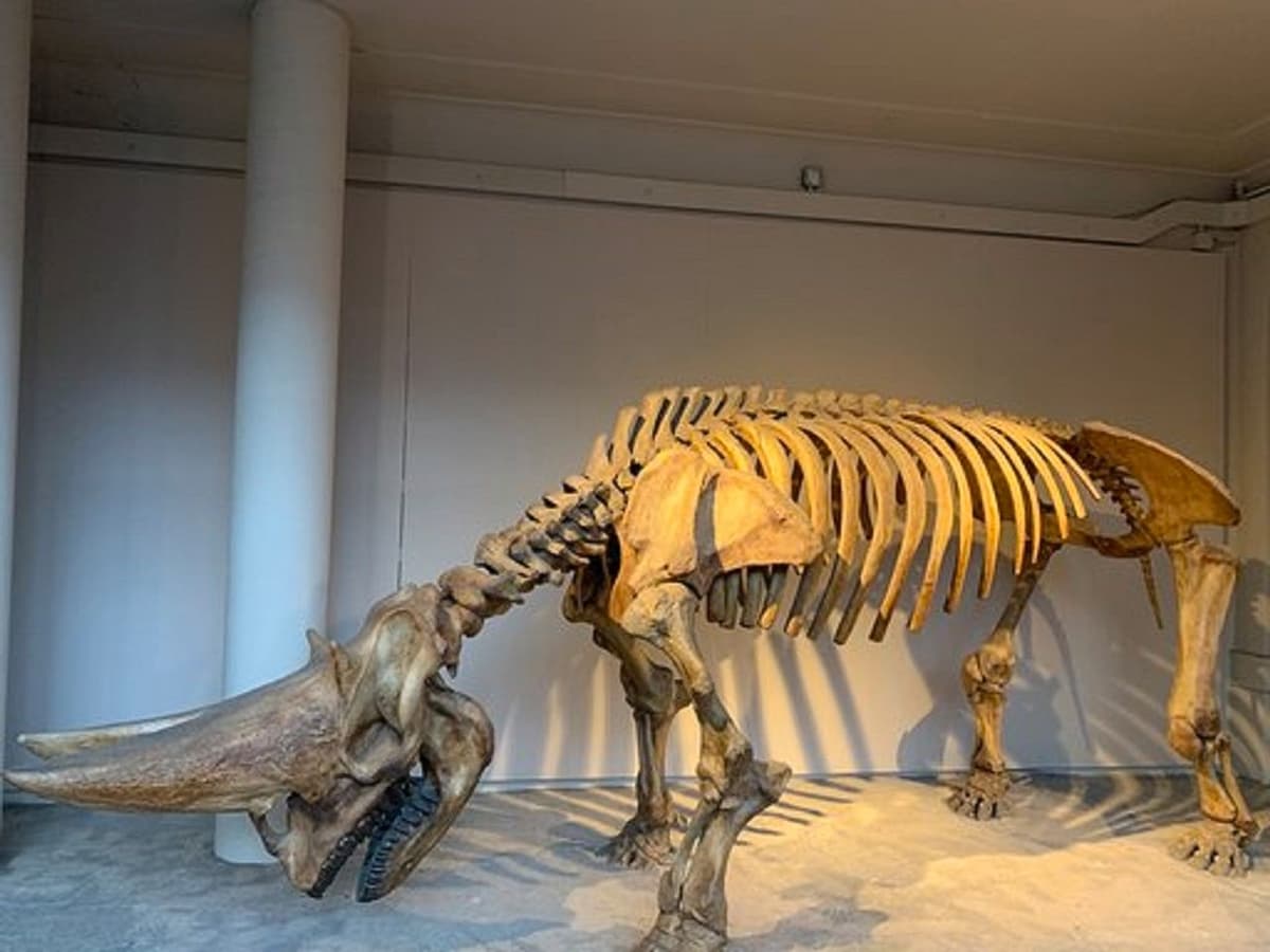 London: Family-Friendly Natural History Museum Tour