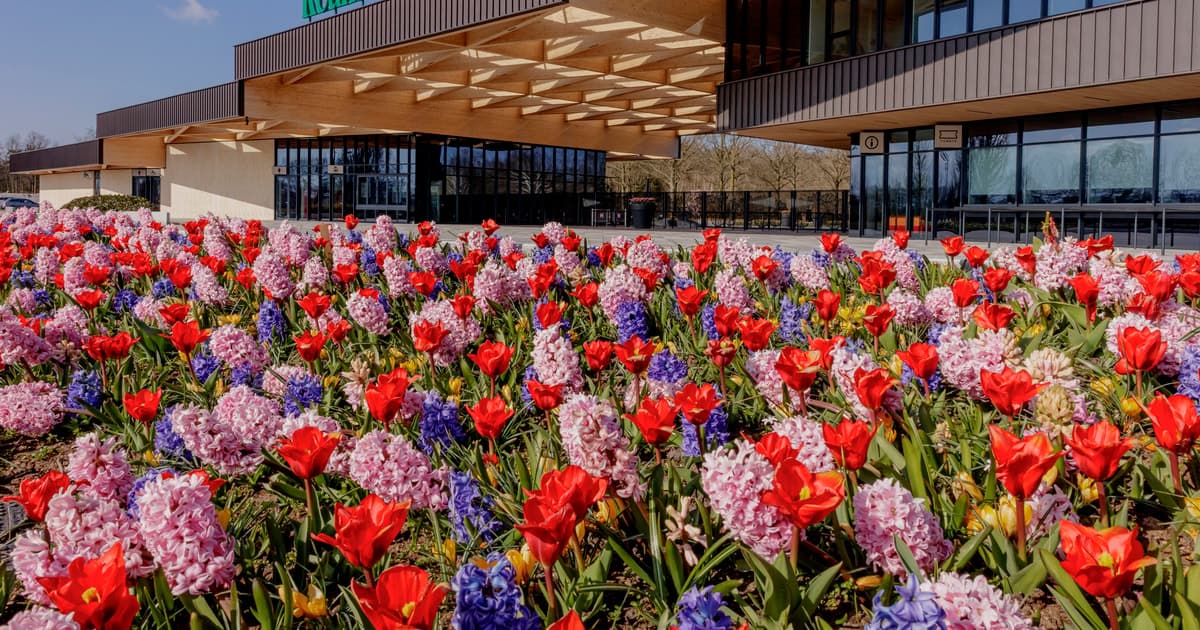 Amsterdam: Half-Day Flower Fields and Keukenhof Bicycle Tour