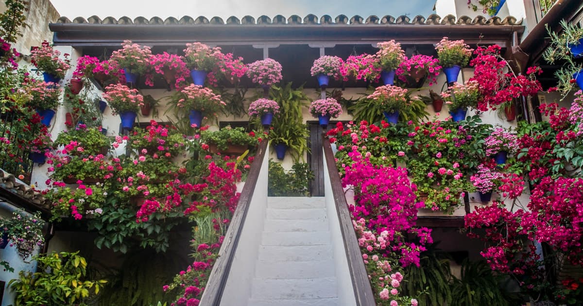 Córdoba: Visita guiada a los Patios