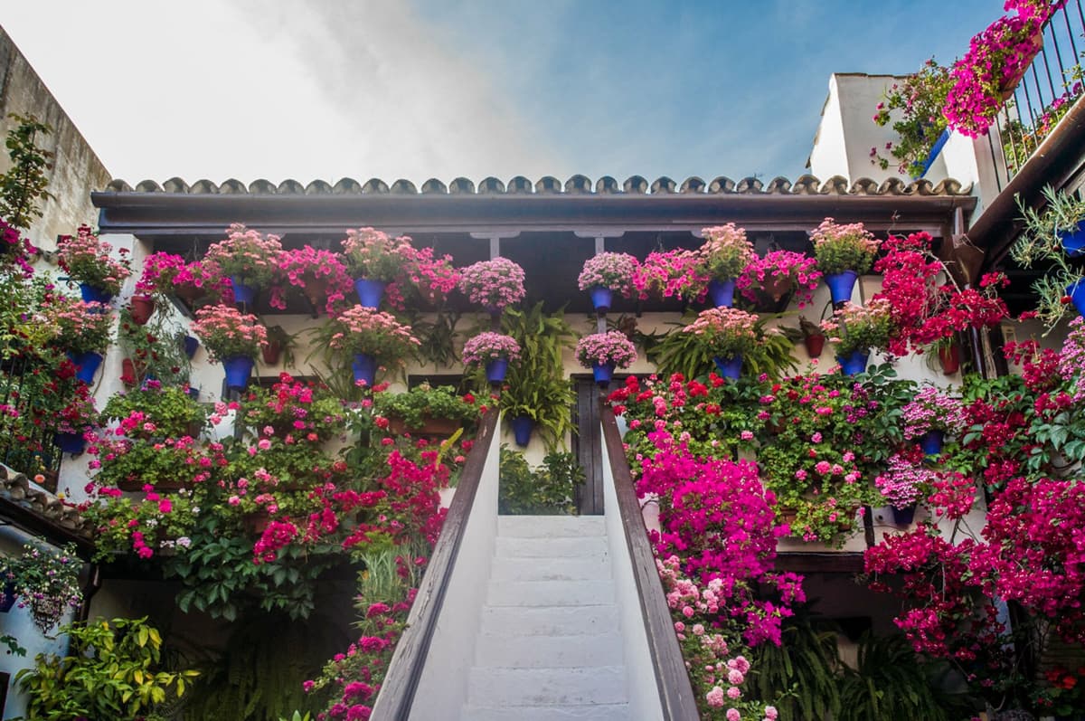 Córdoba: Visita guiada a los Patios