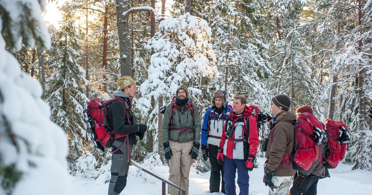 Estocolmo: ruta de senderismo de invierno con raquetas de nieve (1 día)