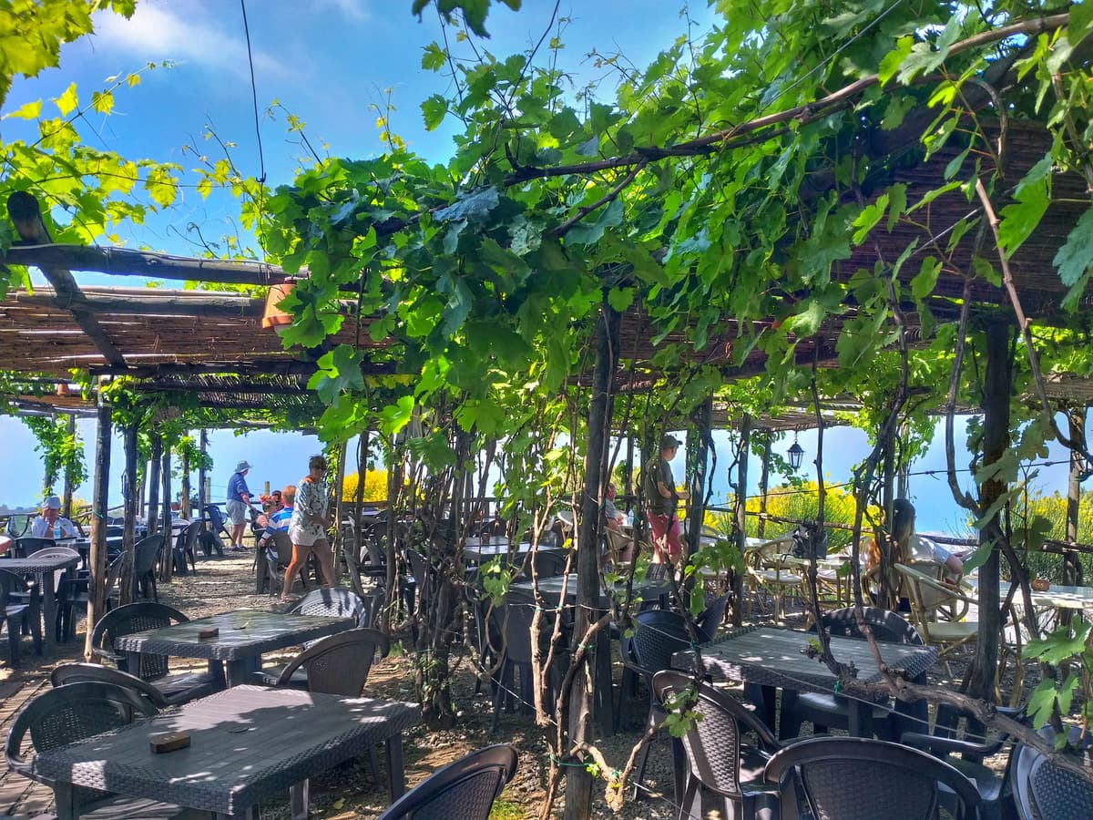 From Sorrento: Mount Vesuvius Tour with Lunch & Wine Tasting