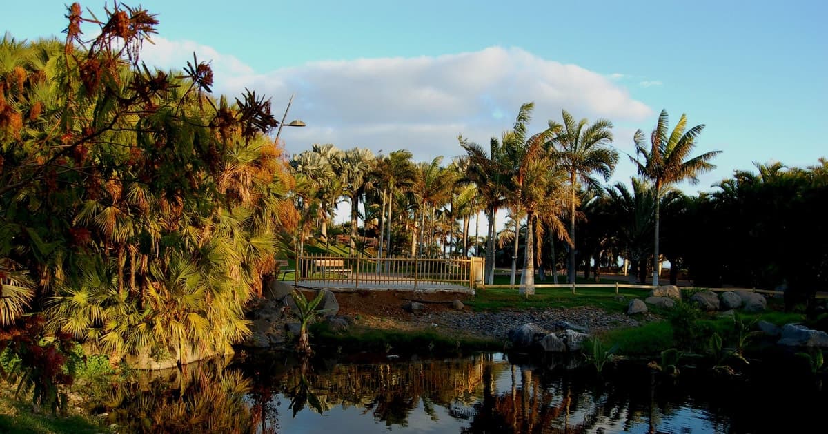 Santa Cruz de Tenerife Palmetum Ticket de entrada