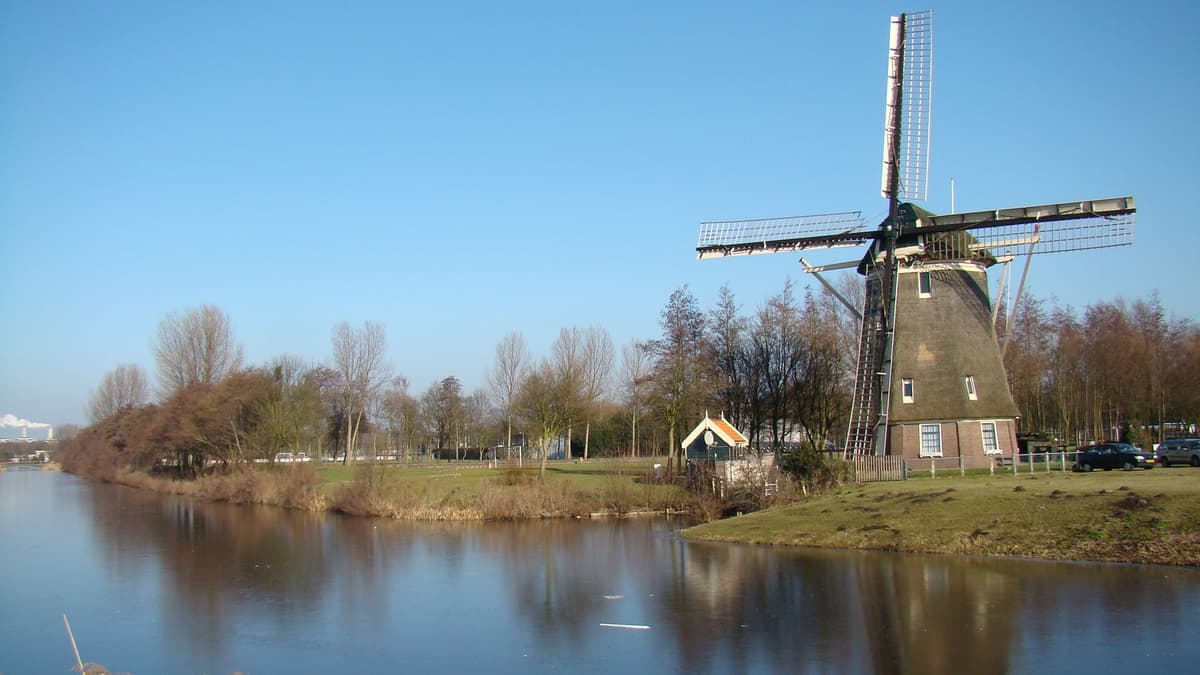 Ámsterdam: tour en bicicleta de 3 horas por el campo