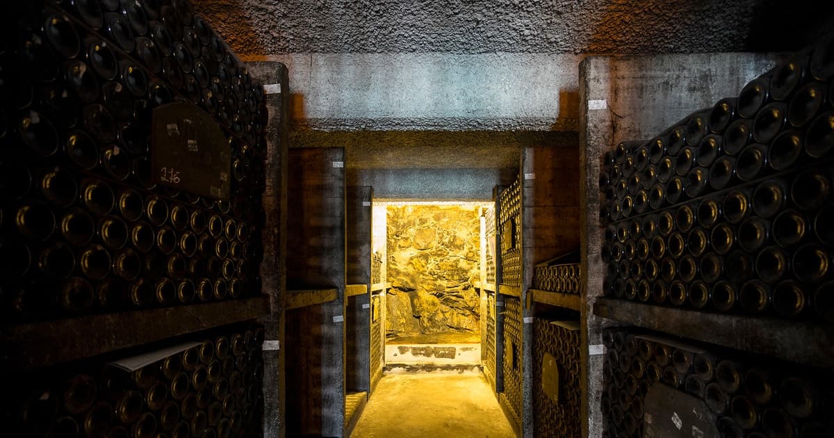 Porto: Burmester Cellar Tour with Tasting & Pairing Options