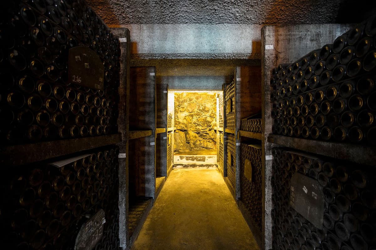 Porto: Burmester Cellar Tour with Tasting & Pairing Options