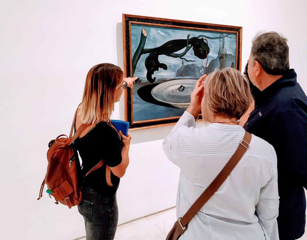 Madrid: Visita guiada al Museo Reina Sofía